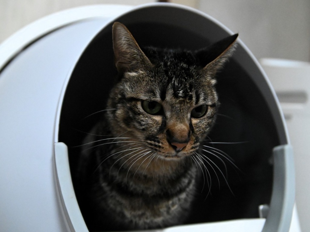 全体のレビュー画像 | 0-0