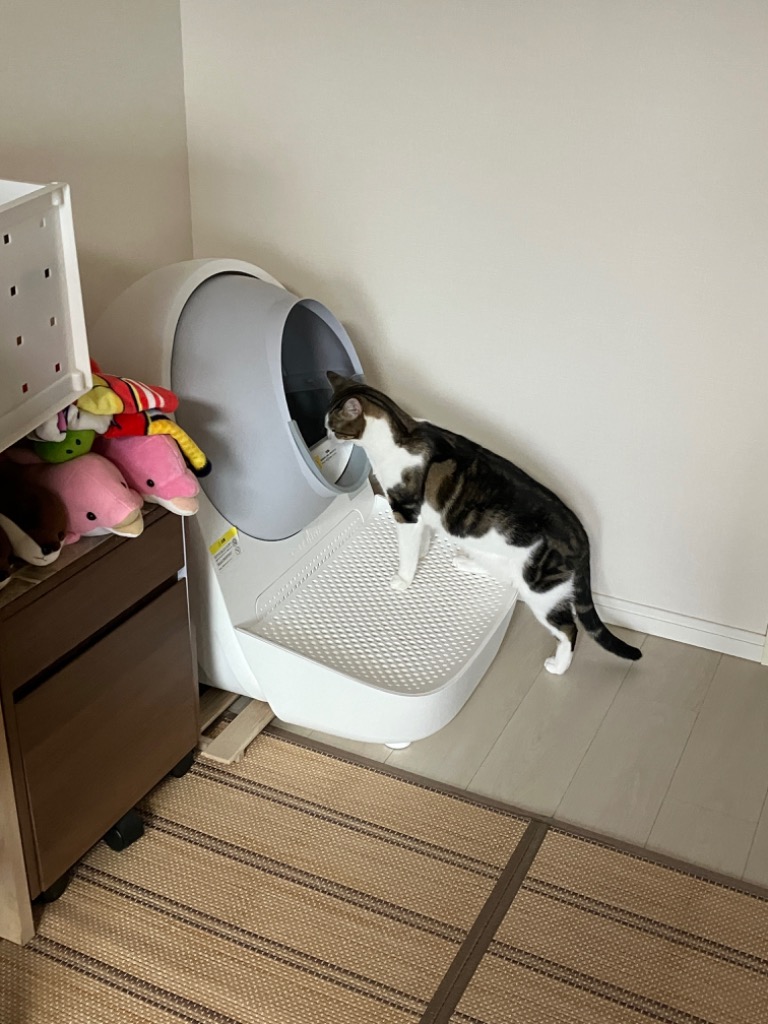 全体のレビュー画像 | 2-0