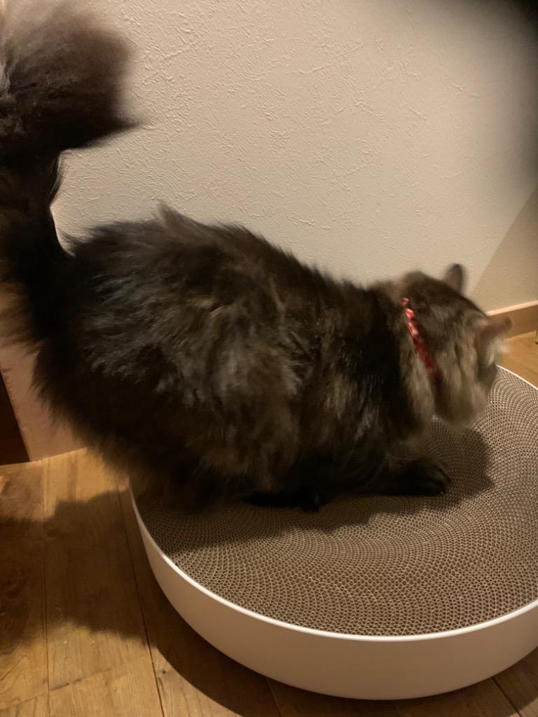 全体のレビュー画像 | 3-0