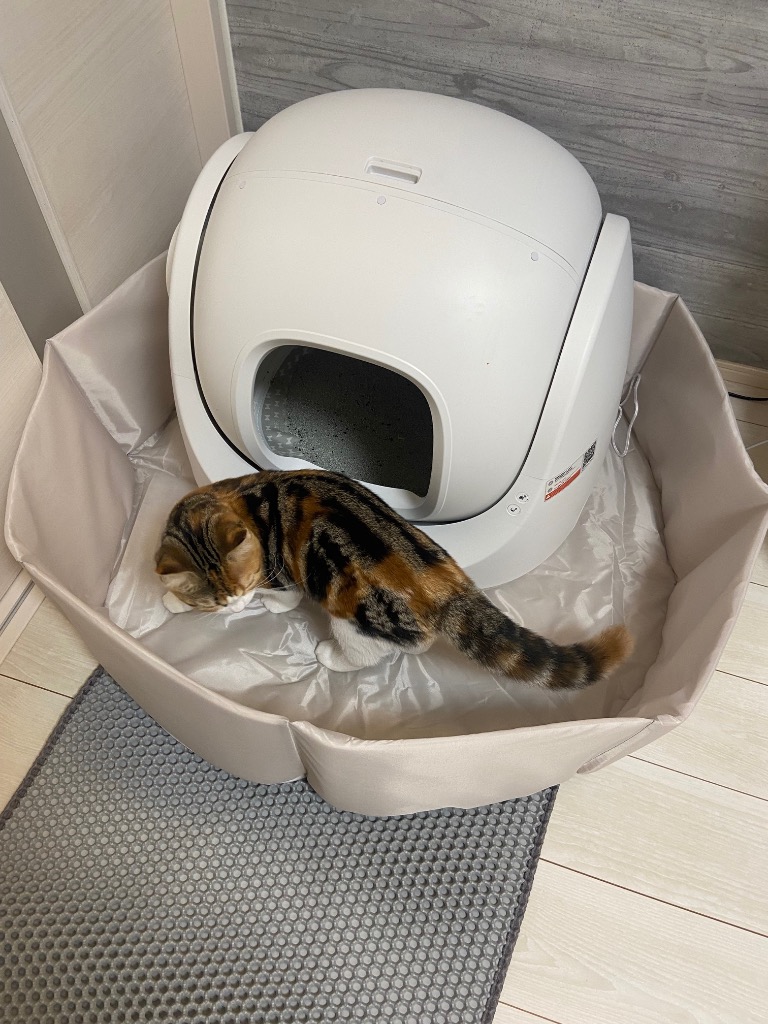 全体のレビュー画像 | 0-0