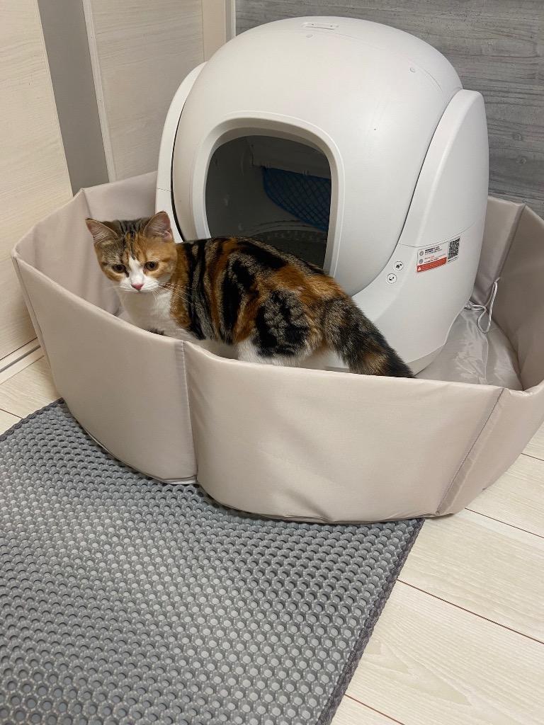 全体のレビュー画像 | 0-1