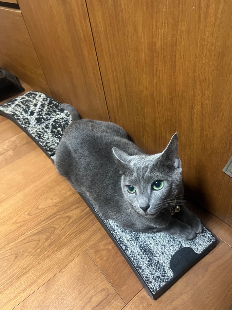 1件目のレビュー画像 | 0