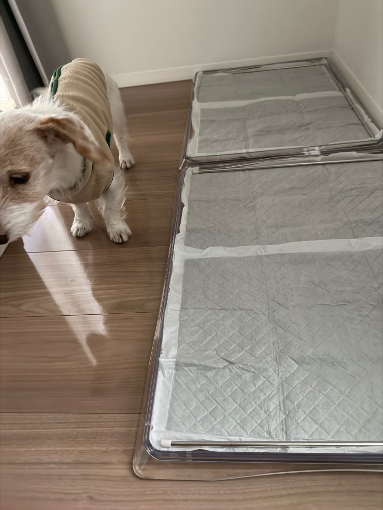 全体のレビュー画像 | 1-0