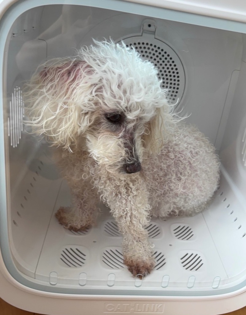 1件目のレビュー画像 | 0