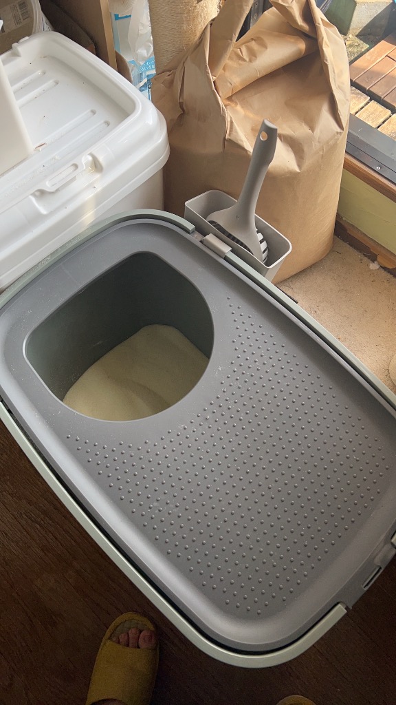 1件目のレビュー画像 | 3