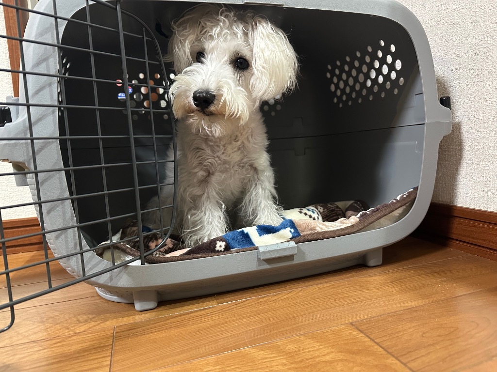 1件目のレビュー画像 | 0