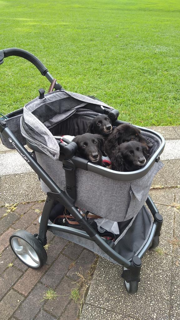 全体のレビュー画像 | 3-0