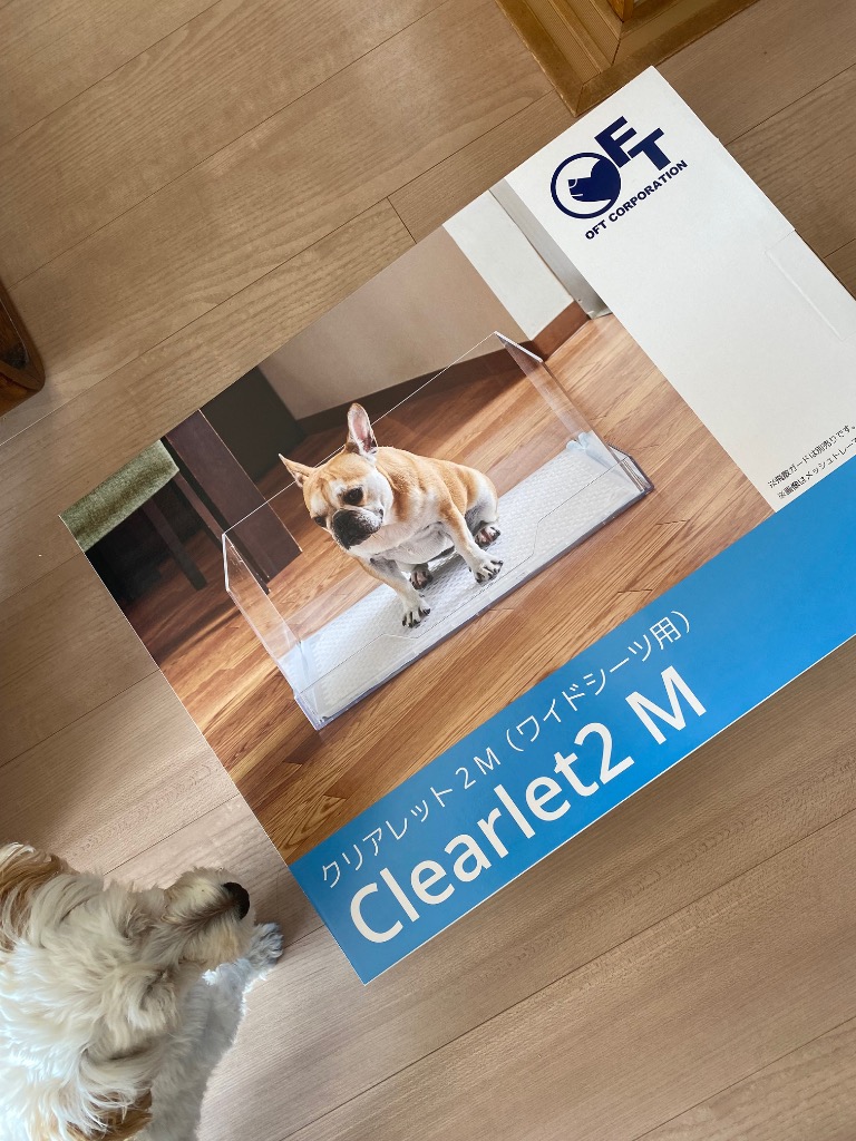 全体のレビュー画像 | 0-0