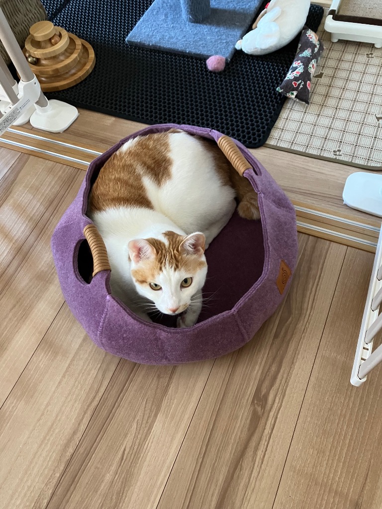 全体のレビュー画像 | 0-1