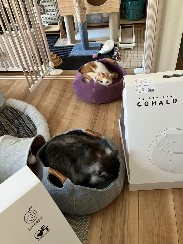 全体のレビュー画像 | 0-2