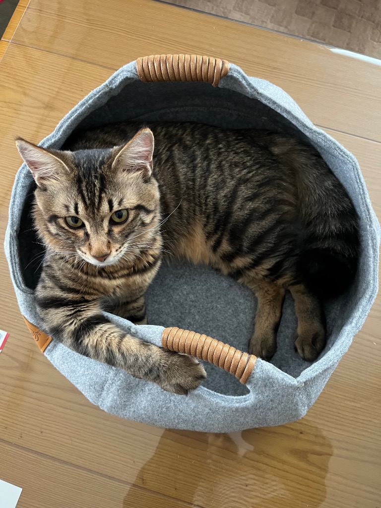 全体のレビュー画像 | 0-1