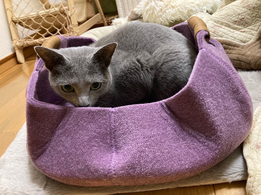 全体のレビュー画像 | 0-0