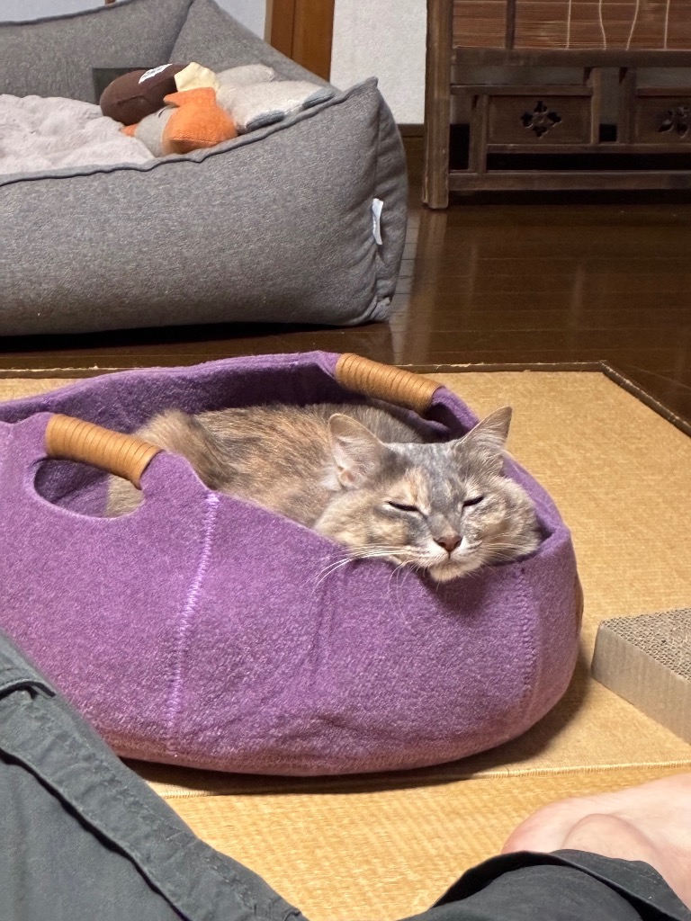 全体のレビュー画像 | 0-0