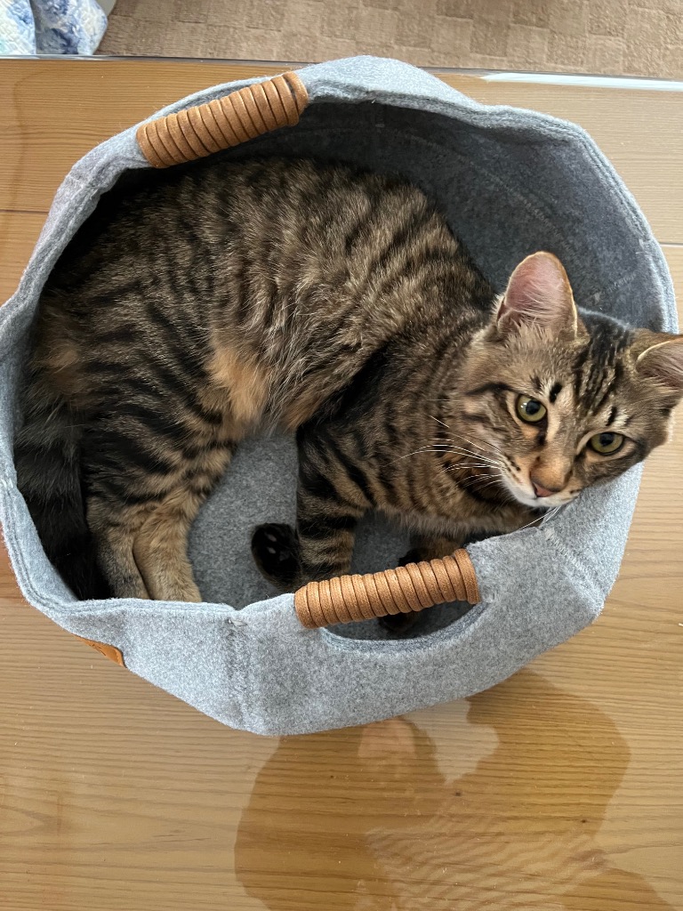 全体のレビュー画像 | 0-0