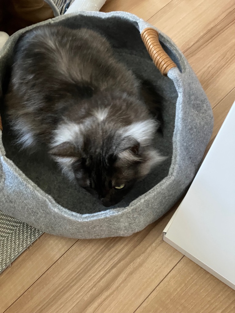 全体のレビュー画像 | 0-0