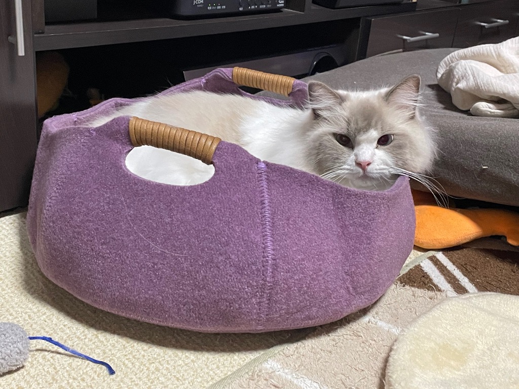 7件目のレビュー画像 | 0