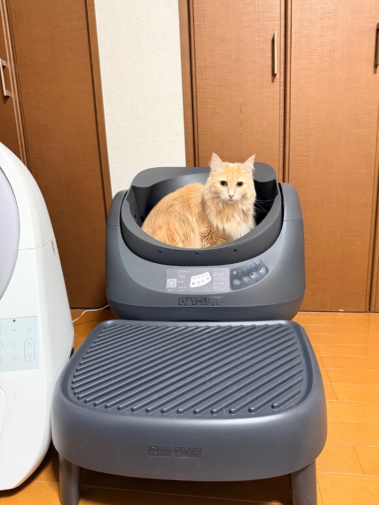 2件目のレビュー画像 | 0
