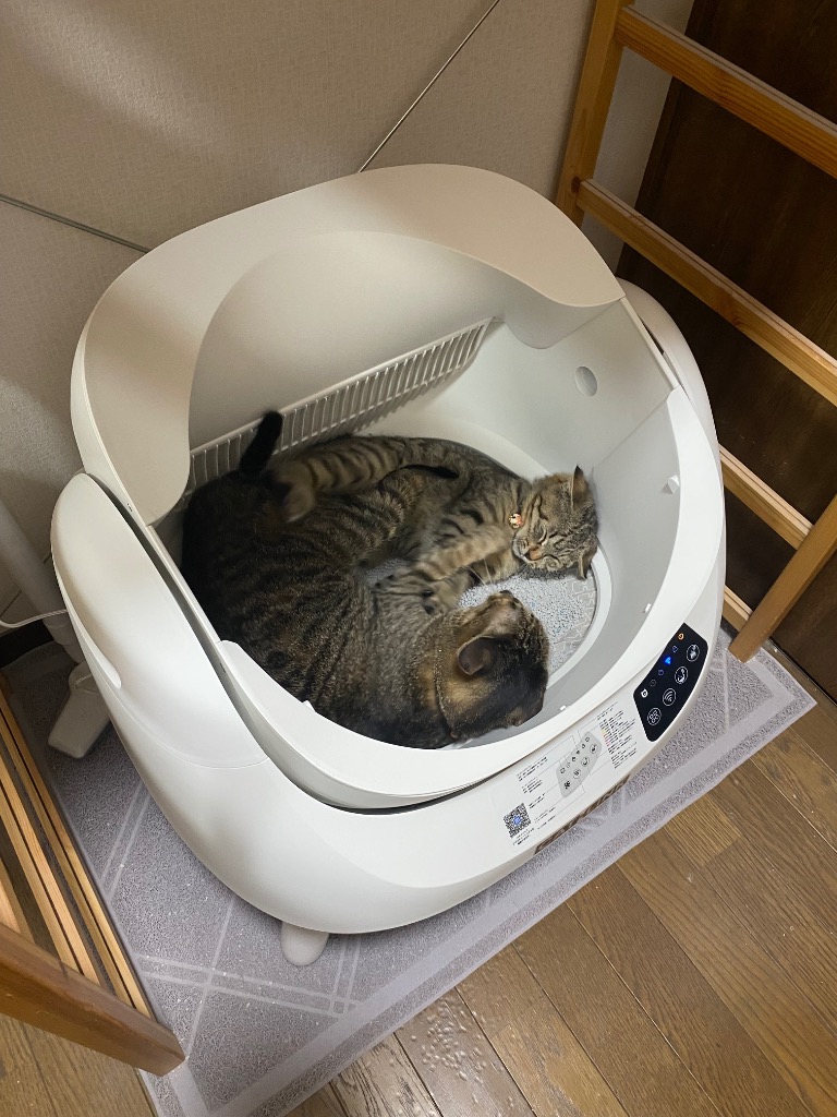 全体のレビュー画像 | 1-1