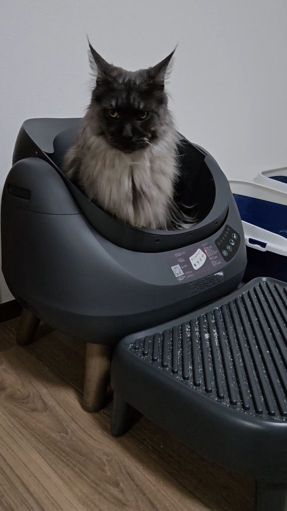 全体のレビュー画像 | 0-0