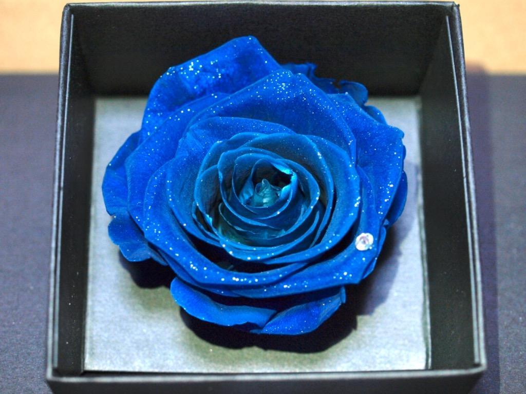 全体のレビュー画像 | 3-0