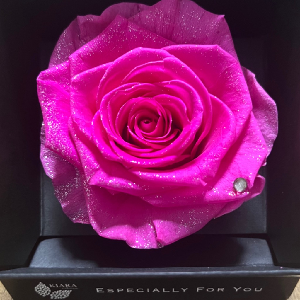 全体のレビュー画像 | 0-0