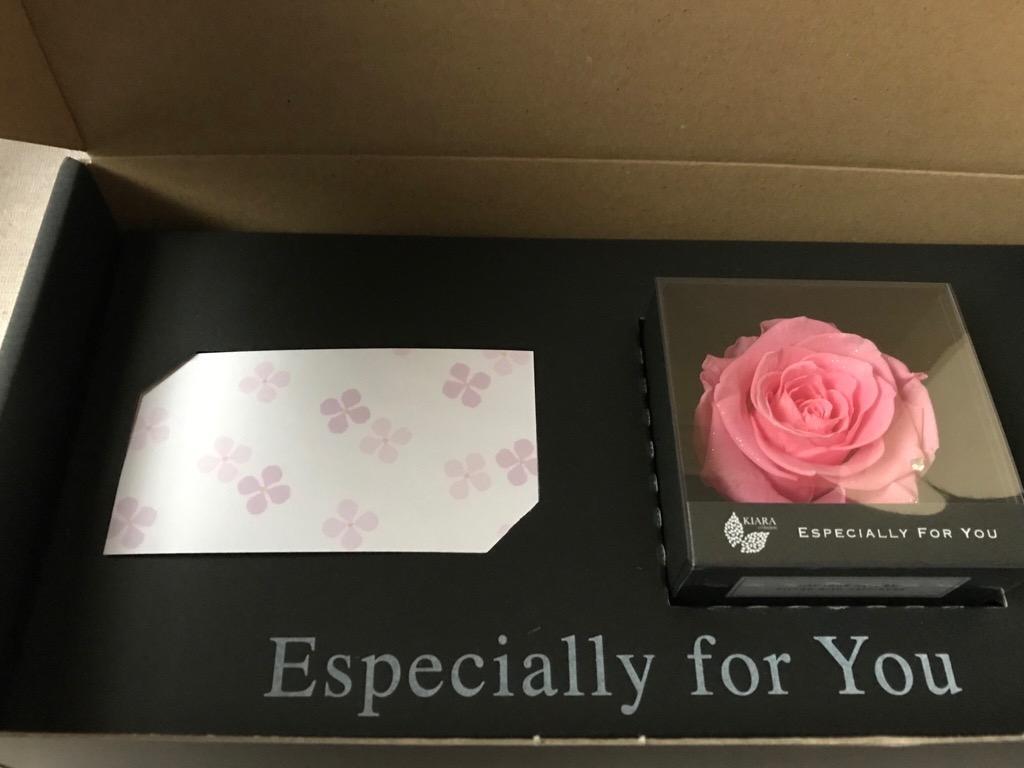 全体のレビュー画像 | 3-0