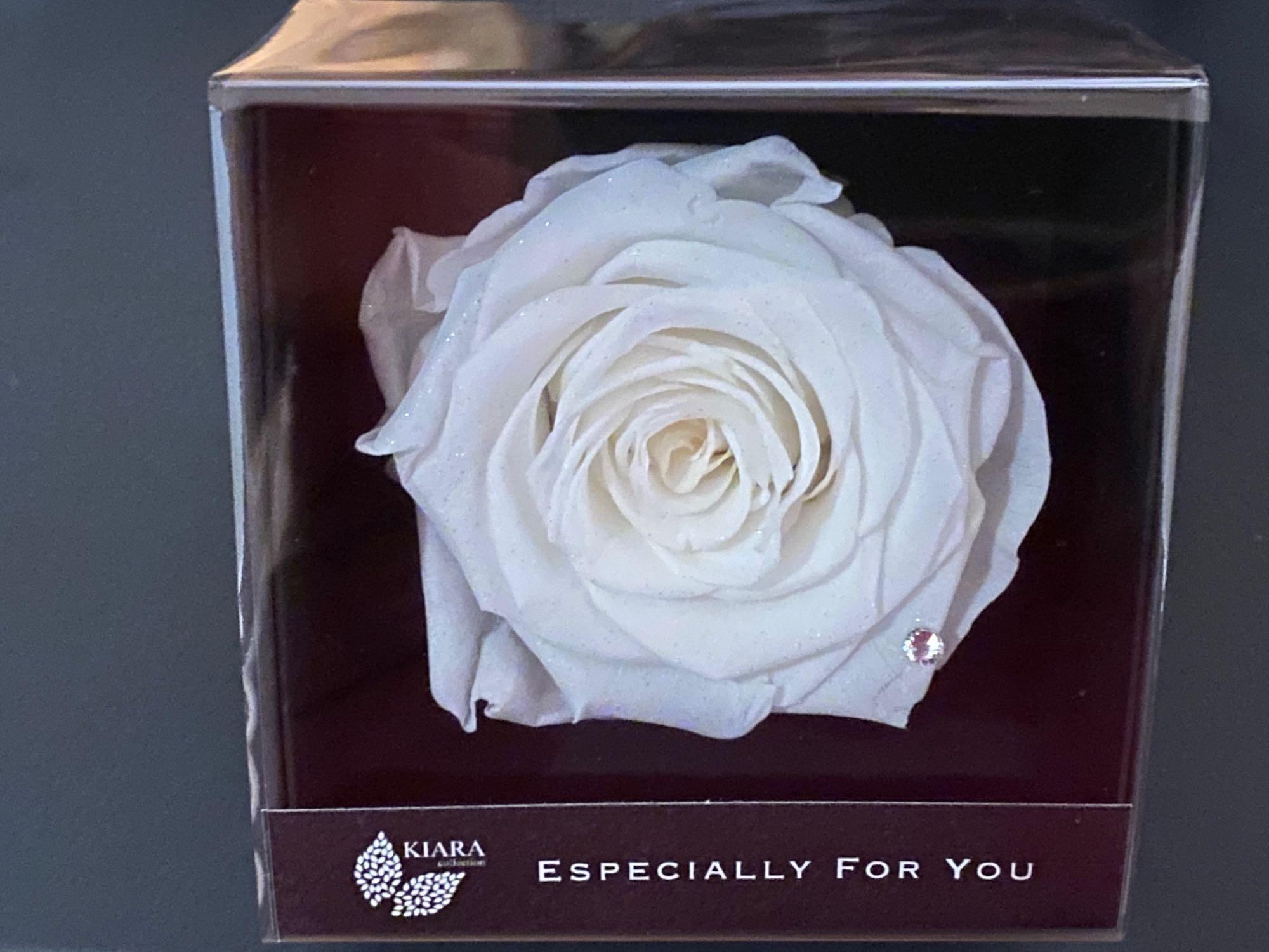 全体のレビュー画像 | 4-0