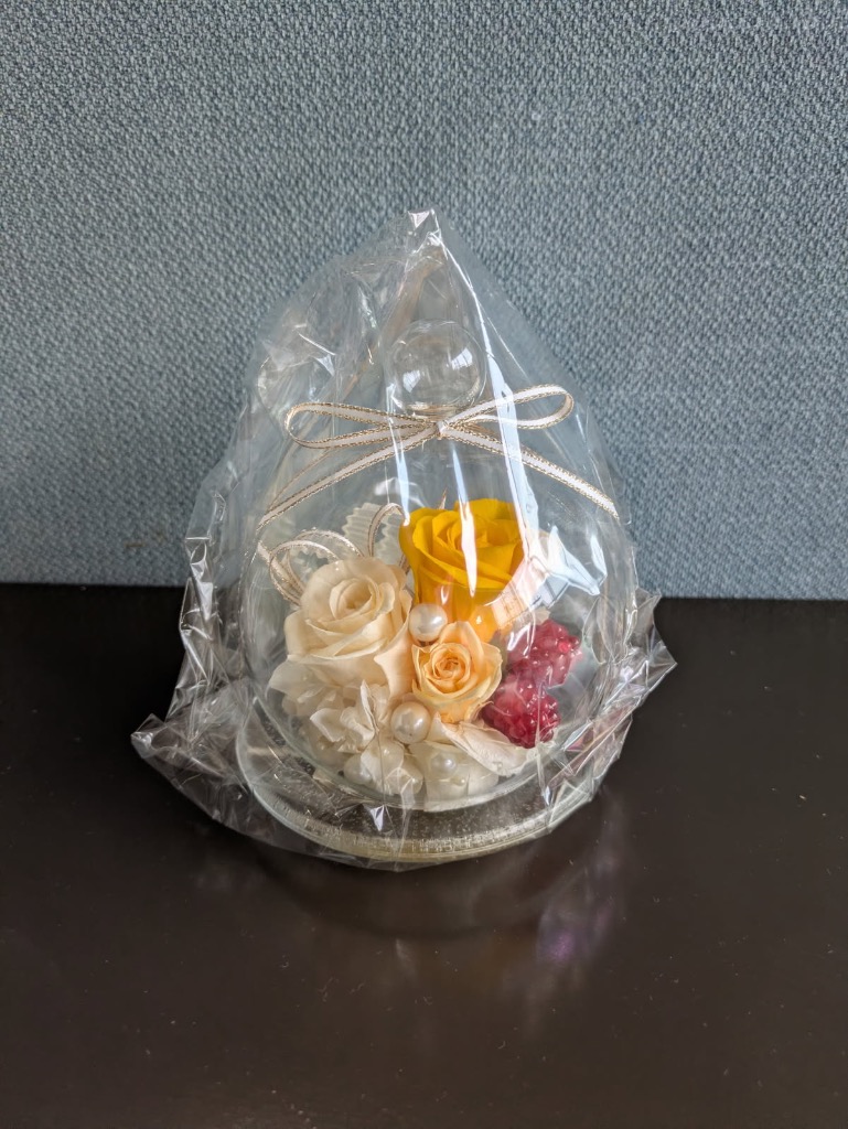 全体のレビュー画像 | 0-0