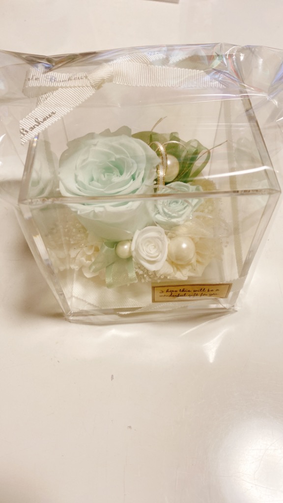 1件目のレビュー画像 | 0