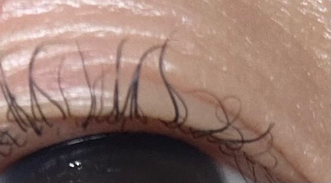 全体のレビュー画像 | 8-0