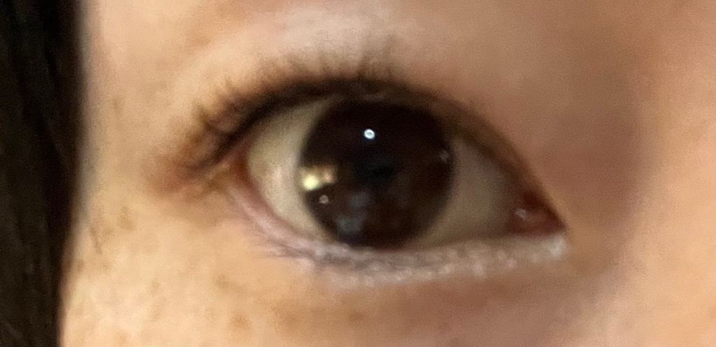 全体のレビュー画像 | 5-0