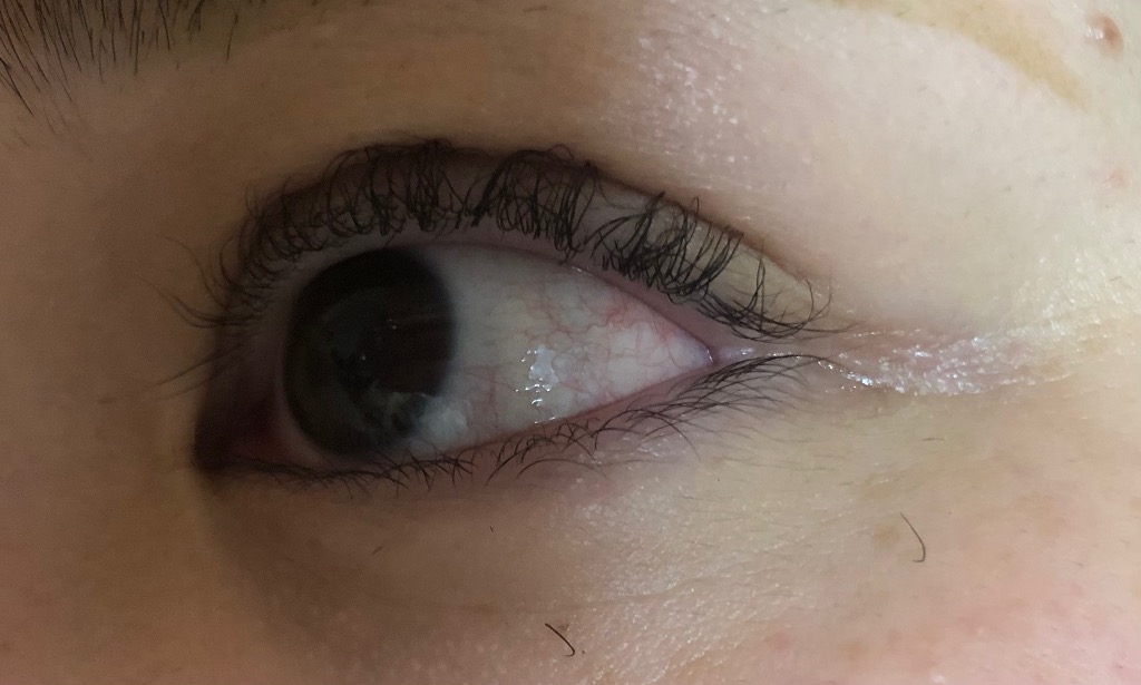 全体のレビュー画像 | 14-0