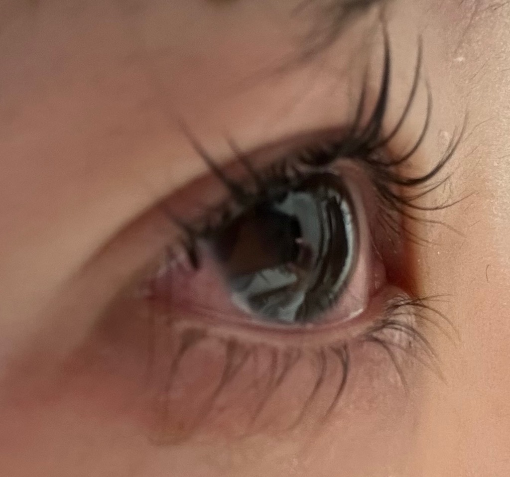 全体のレビュー画像 | 2-0