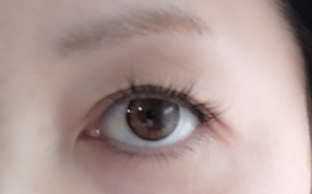 全体のレビュー画像 | 7-0