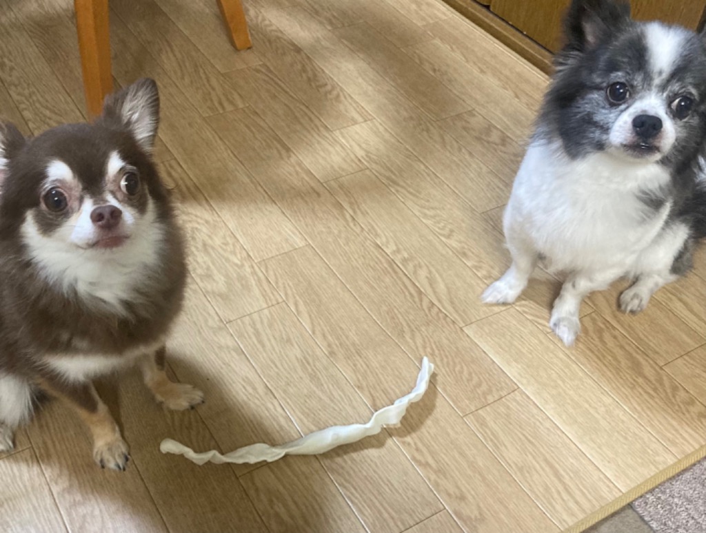 レビュー画像