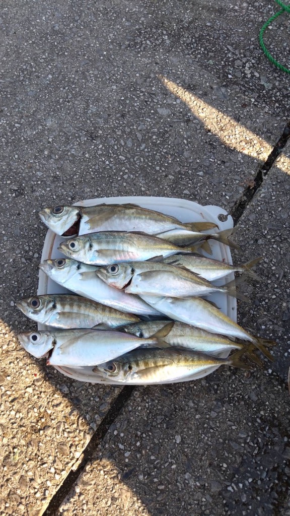 全体のレビュー画像 | 5-0