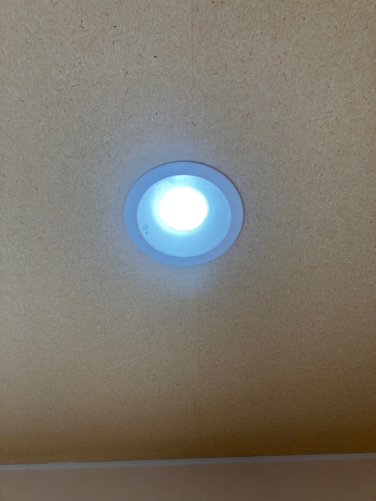 IRIS OHYAMA（アイリスオーヤマ） ダウンライト LED 150φ 埋込型照明