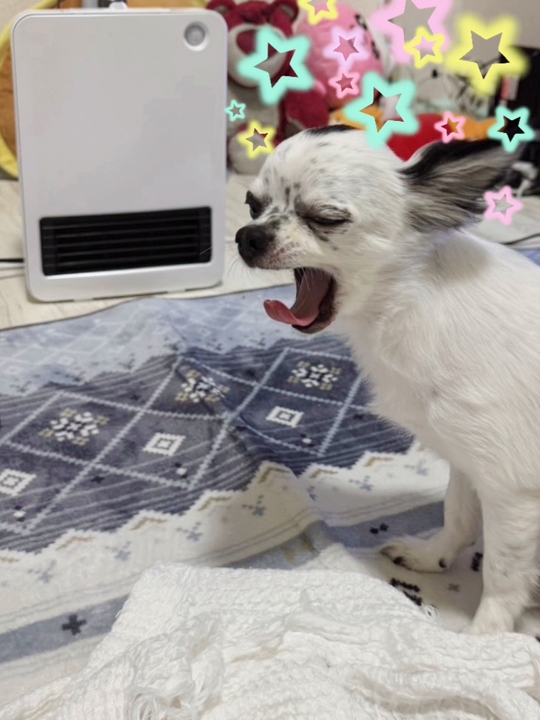 全体のレビュー画像 | 4-0