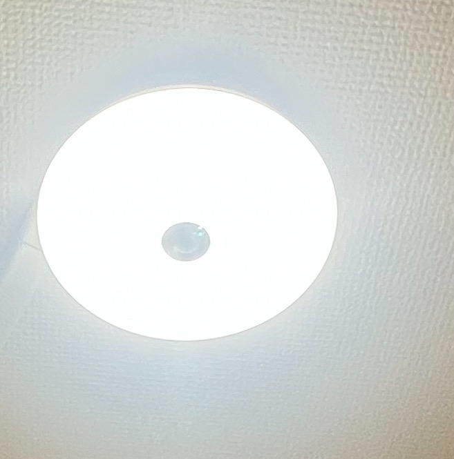 IRIS OHYAMA led シーリングライト 小型 玄関 LED 天井照明 人感 IRIS OHYAMA led シーリングライト 小型 玄関 LED 天井照明 人感