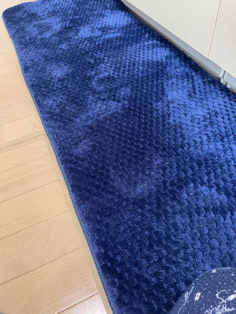 2件目のレビュー画像 | 0
