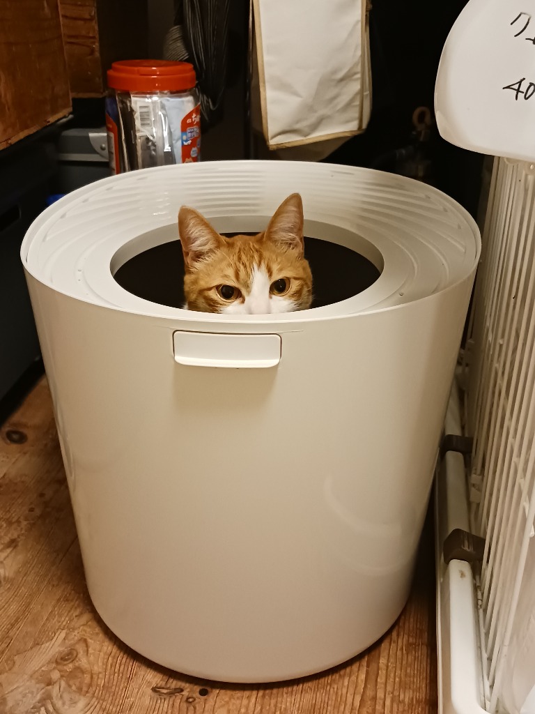猫トイレ 大型 猫 トイレ ペットトイレ 上から猫トイレ カバー 