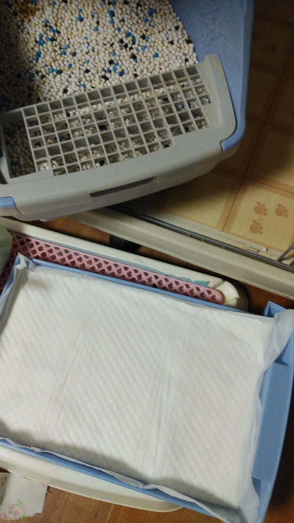 レビュー画像