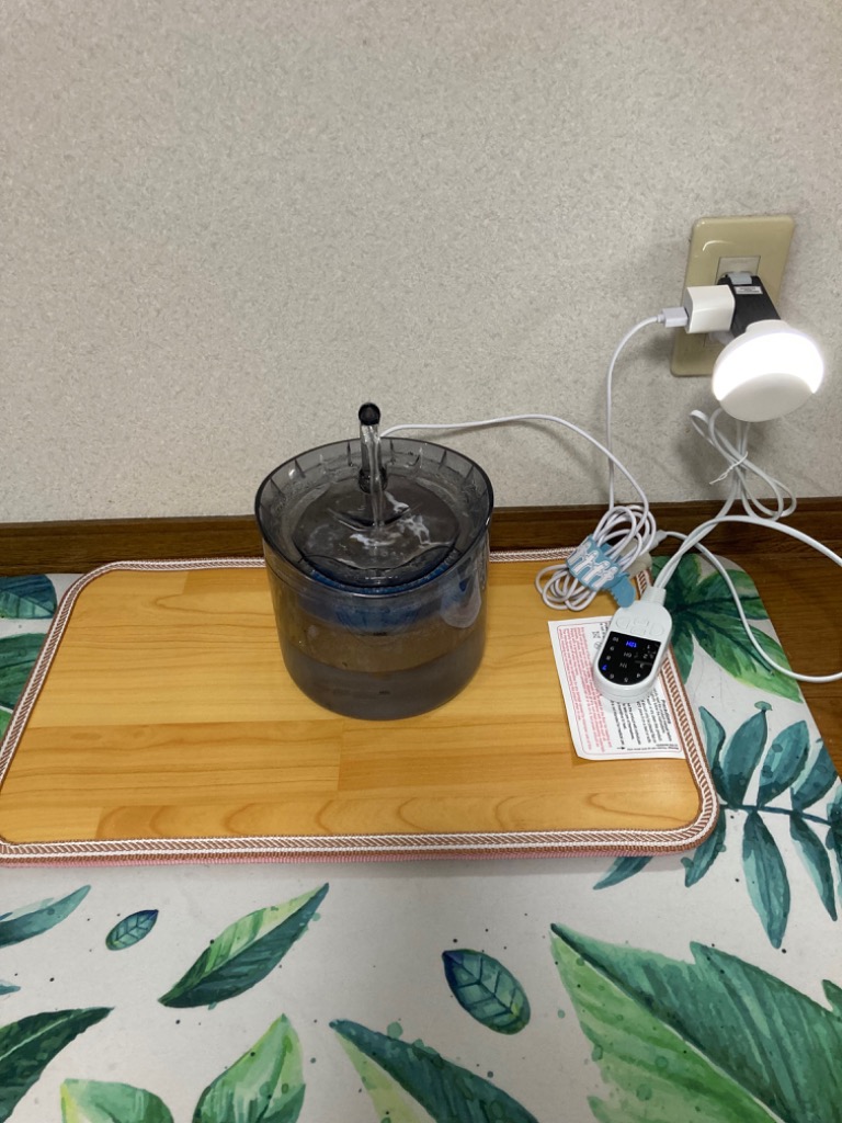 レビュー画像