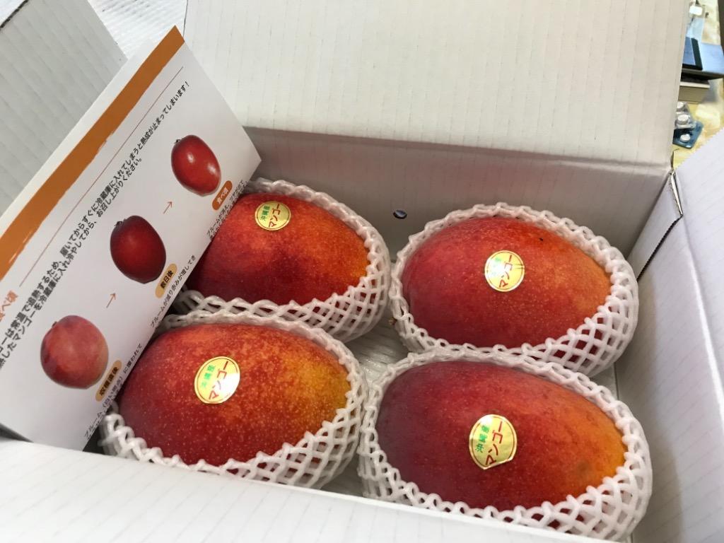 家庭用マンゴー　約2.3kg 金澤兼六製菓6個マンゴープリンBOX（1箱6個入り×20箱） | 三重県