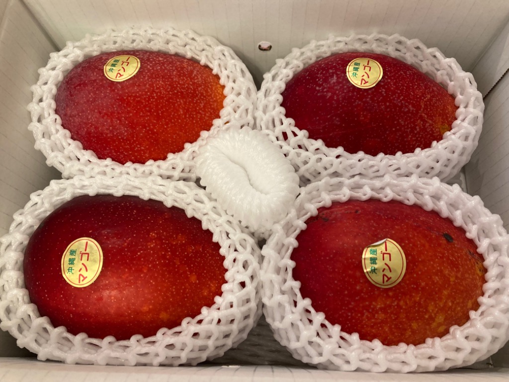 家庭用マンゴー　約2.3kg 6月発送）【訳アリ品！！】沖縄県産マンゴー2キロ（3～8個入り