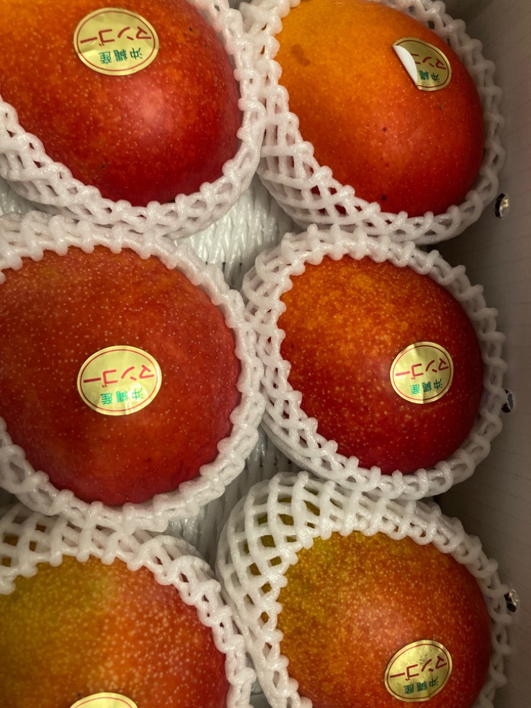 訳ありマンゴー2kg（4〜8玉） 白箱入 : 石崎ファーム - 通販