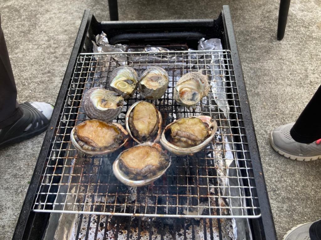 アワビ付海鮮BBQセット（アワビ4個サザエ4個大アサリ4個）[魚介類