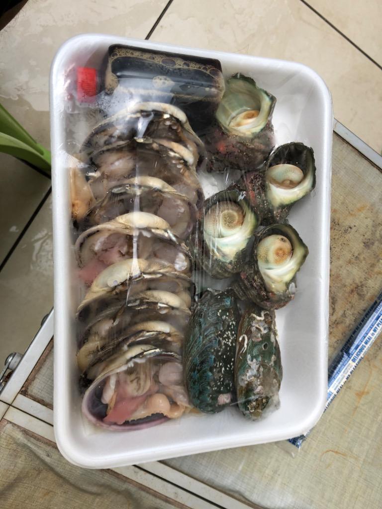 アワビ付プチ海鮮BBQセット（アワビ2個サザエ4個大アサリ4個）[魚介類] :bbq-14-06:まるか水産Yahoo!店 - 通販 -  Yahoo!ショッピング