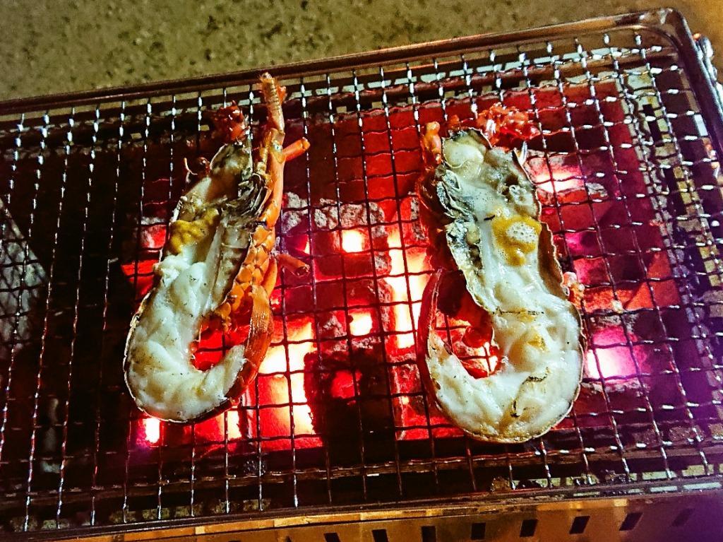 伊勢海老付プチ海鮮BBQセット（伊勢海老×1尾サザエ4個大アサリ4個）[魚介類] :bbq-14-07:まるか水産Yahoo!店 - 通販 -  Yahoo!ショッピング