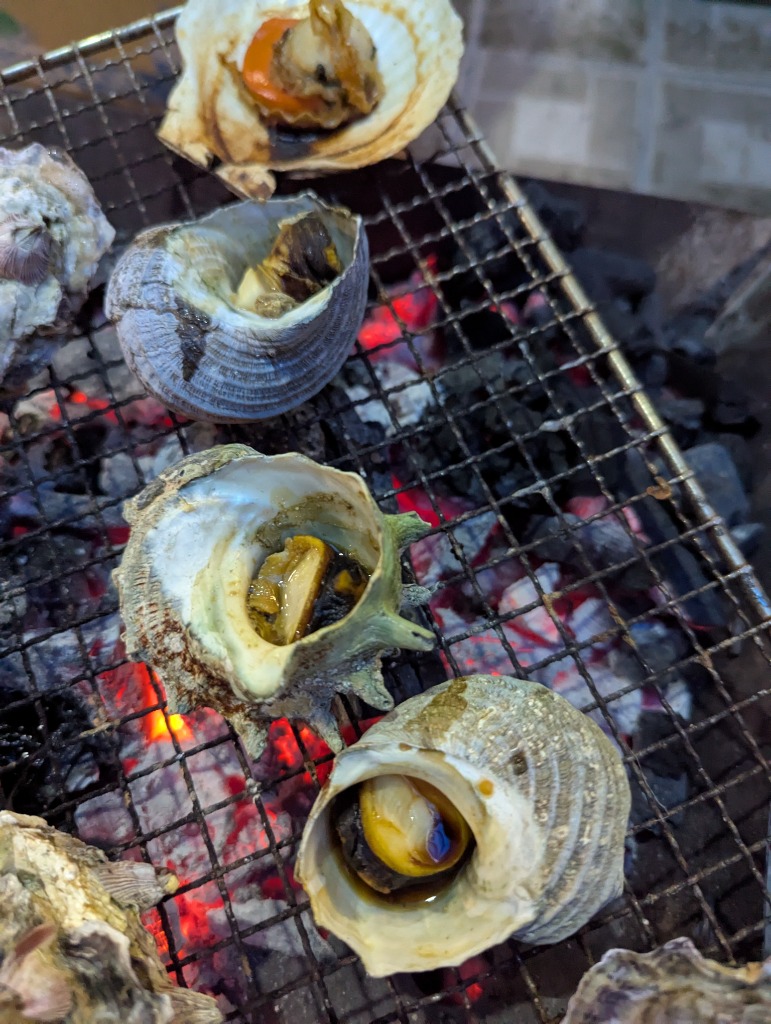 天然活 さざえ 小サイズ 1kg 15個 50～70g [さざえ] | 貝類